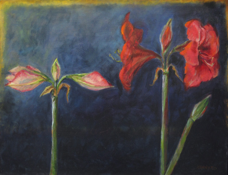 Two Amaryllis, Pink/Red