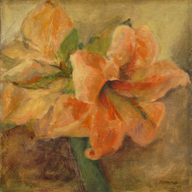 Aimee's Amaryllis