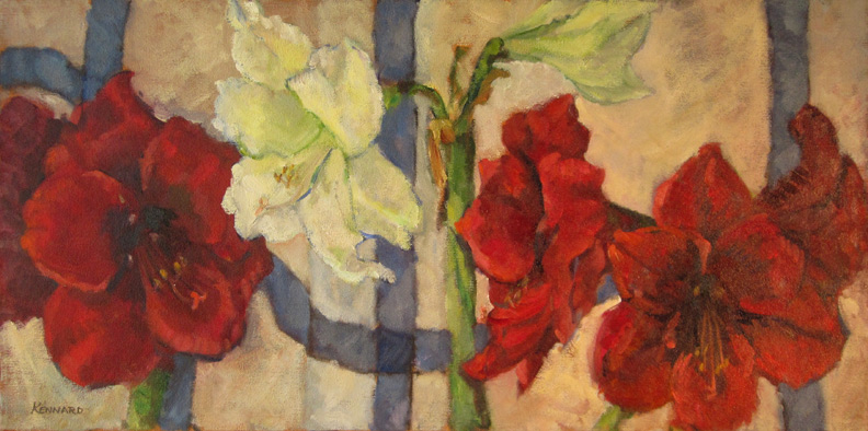 Red And White Amaryllis